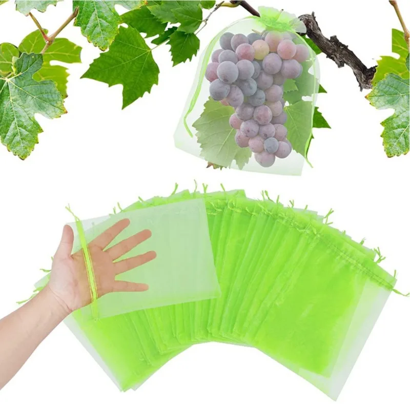 Mesh Net Bag - 50 قطعة من أكياس حماية الفاكهة