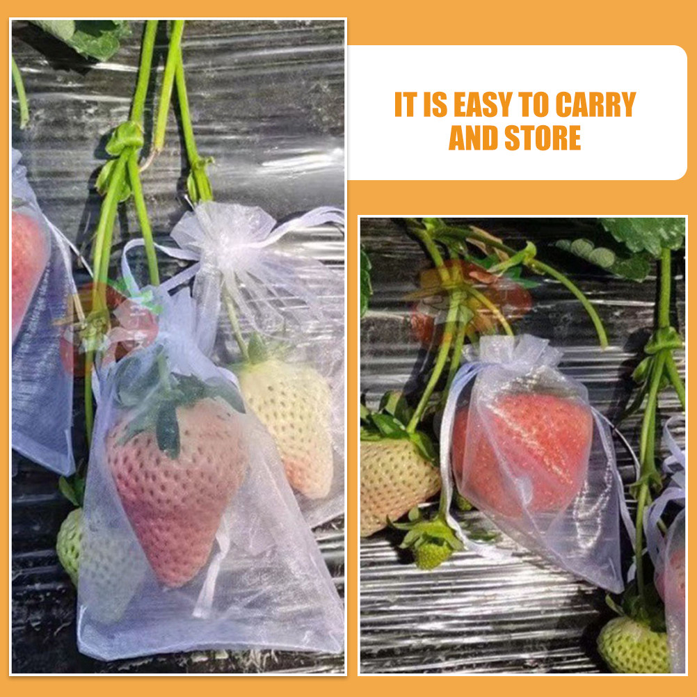50 قطعة من أكياس حماية الفاكهة - مراجعة Mesh Net Bag وسعره